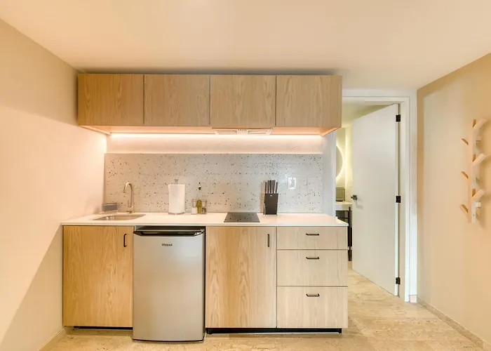 Nido Roma 4* Mexico City